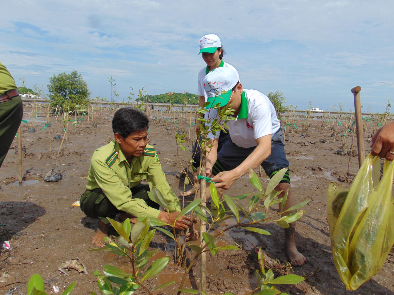 Họp bàn chống thiên tai và phát động trồng rừng ngập mặn tại Cà Mau