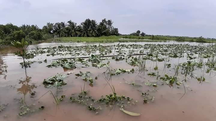 Bạc Liêu thiệt hại nặng nề do ảnh hưởng hoàn lưu bão số 3