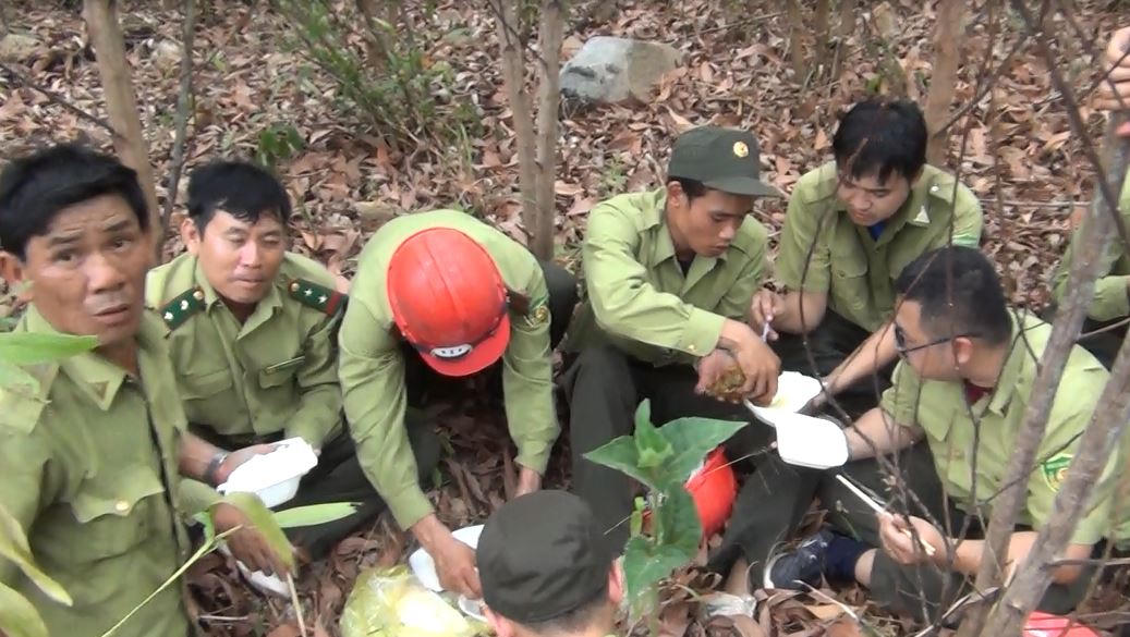 Chi cục Kiểm lâm Vùng IV: Nhiều chuyển biến tích cực trong công tác bảo vệ và phát triển rừng