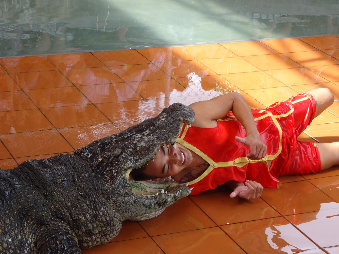 Công ty Corocodile and Srake Show Nha Trang với hướng đi mới của du lịch Khánh Hòa