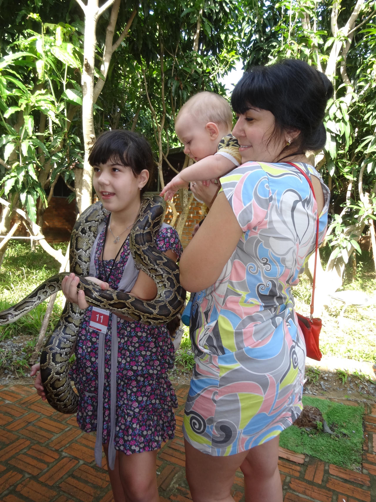 Công ty Corocodile and Srake Show Nha Trang với hướng đi mới của du lịch Khánh Hòa