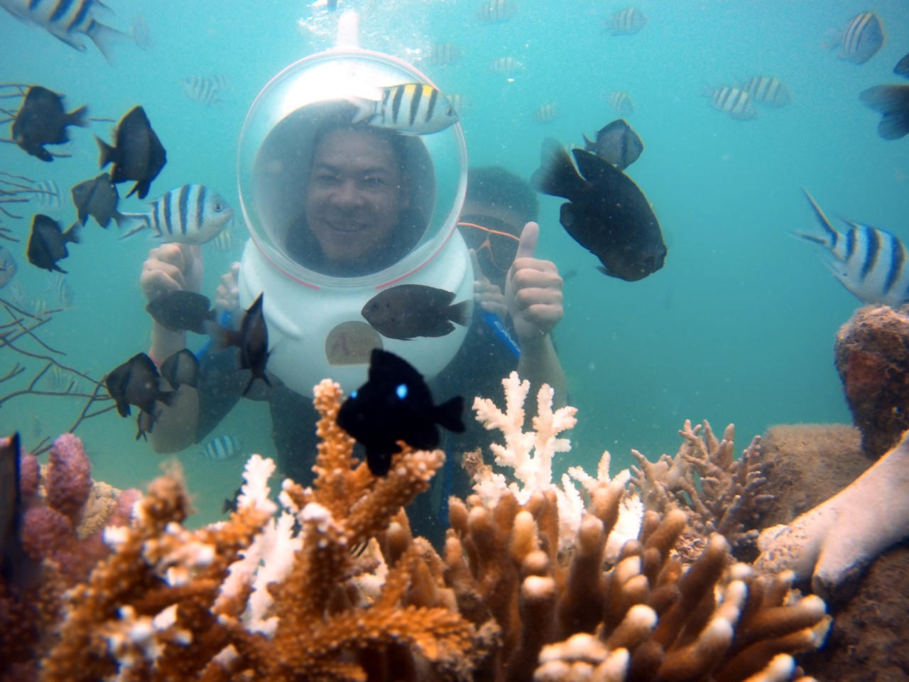Vui quên lối về ở thiên đường du lịch Hòn Sỏi – Island