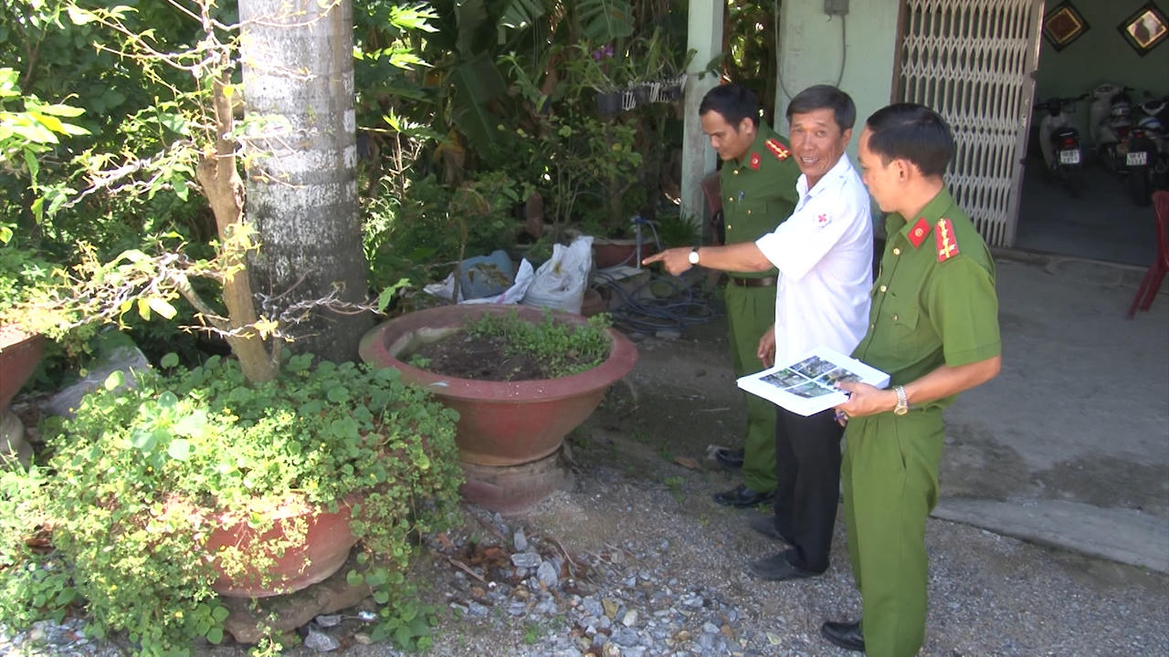 Đề nghị truy tố kẻ chuyên đi nhổ trộm cây cảnh