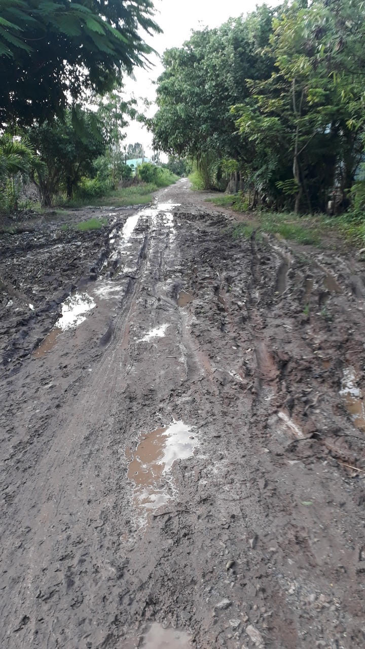 Bạc Liêu: Tuyến đường Xóm Lung – Cái Cùng bao giờ mới hoàn thành?