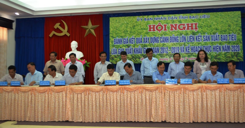 Bạc Liêu: Chính quyền phải hỗ trợ doanh nghiệp, người dân trong liên kết sản xuất lúa gạo 