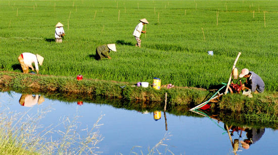 Giảm nghèo không thể trông chờ, ỷ lại các chính sách hỗ trợ của nhà nước 