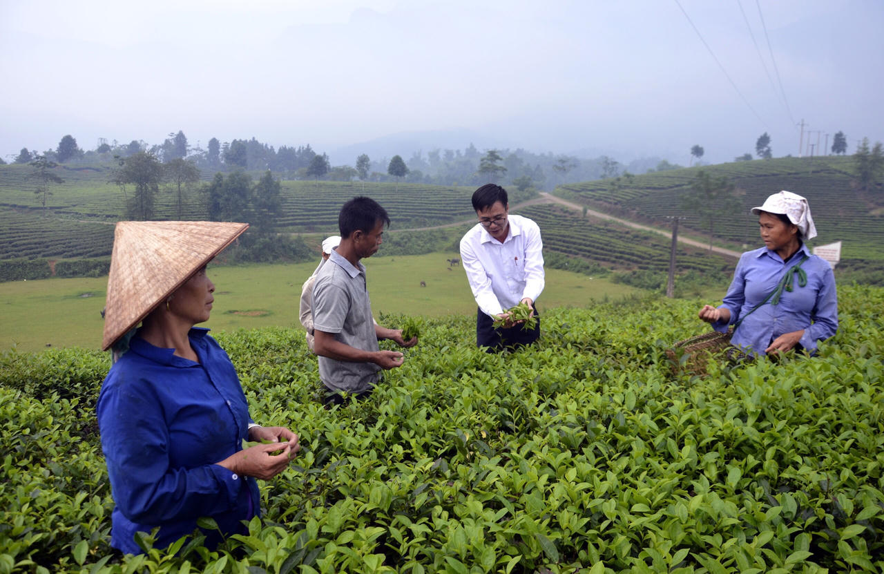 Bí thư xã làm nông nghiệp giỏi