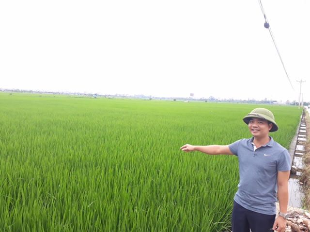 Làm gì để nông dân không... chán ruộng?