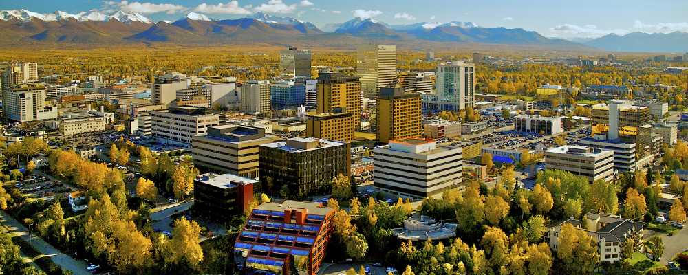 Bài học đổi mới tư duy quản lý rừng tại Alaska