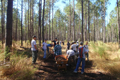 Bài học đổi mới tư duy quản lý rừng tại Alaska