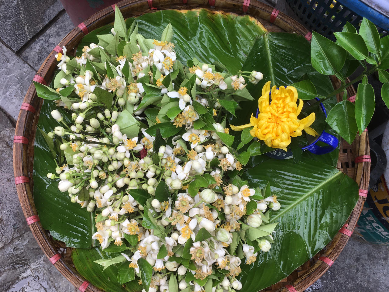 Thảnh thơi gánh hoa 70 năm giữa tất bật Hà Thành