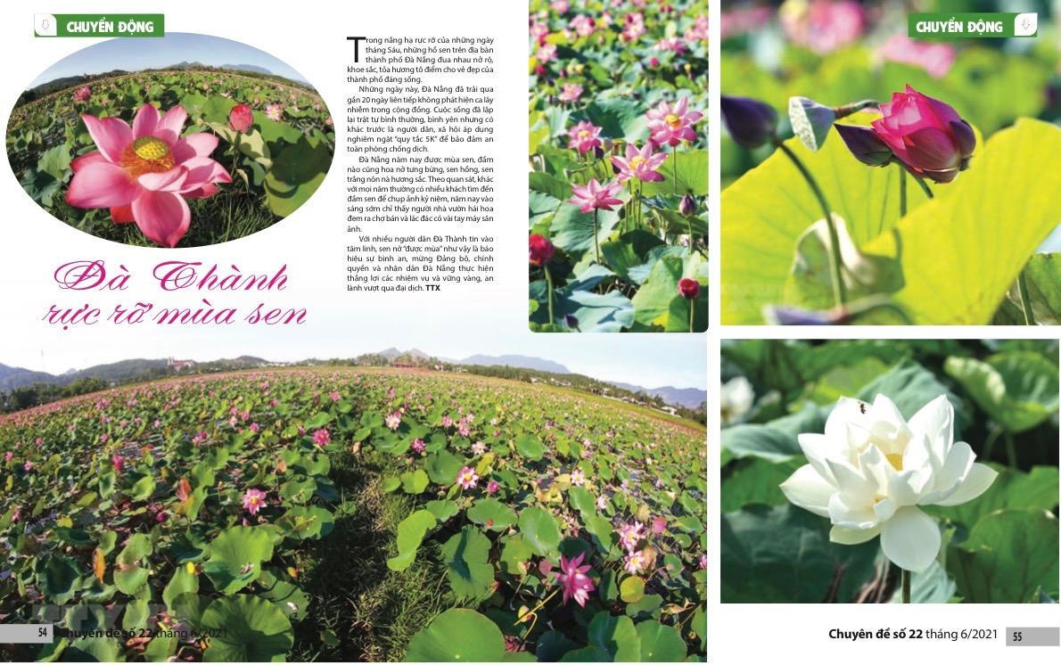 Đón đọc Chuyên đề Pháp luật số đặc biệt "Đà Nẵng : Thành tựu và Triển vọng!"