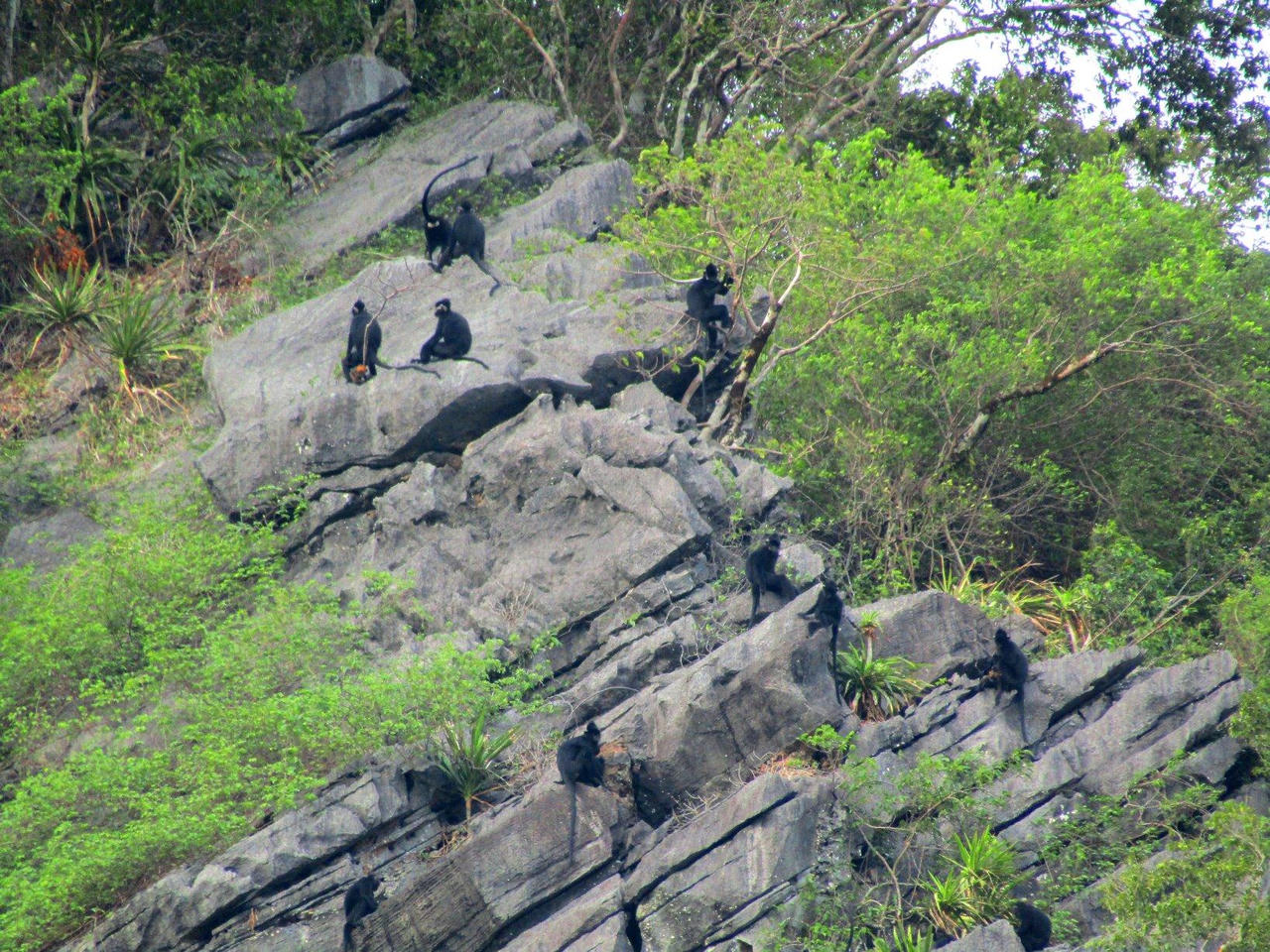 Những câu chuyện đẹp ở Di sản thế giới Phong Nha – Kẻ Bàng