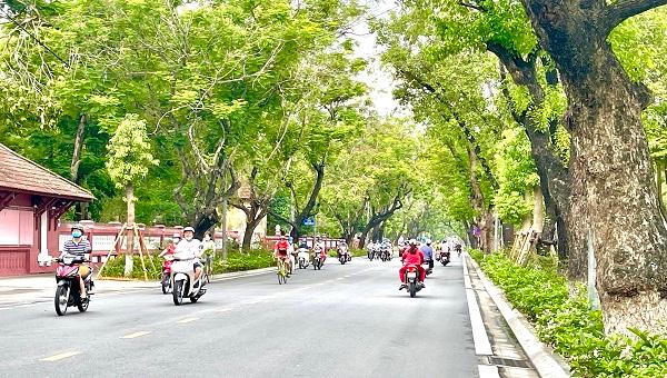 Giữ màu xanh cho Huế