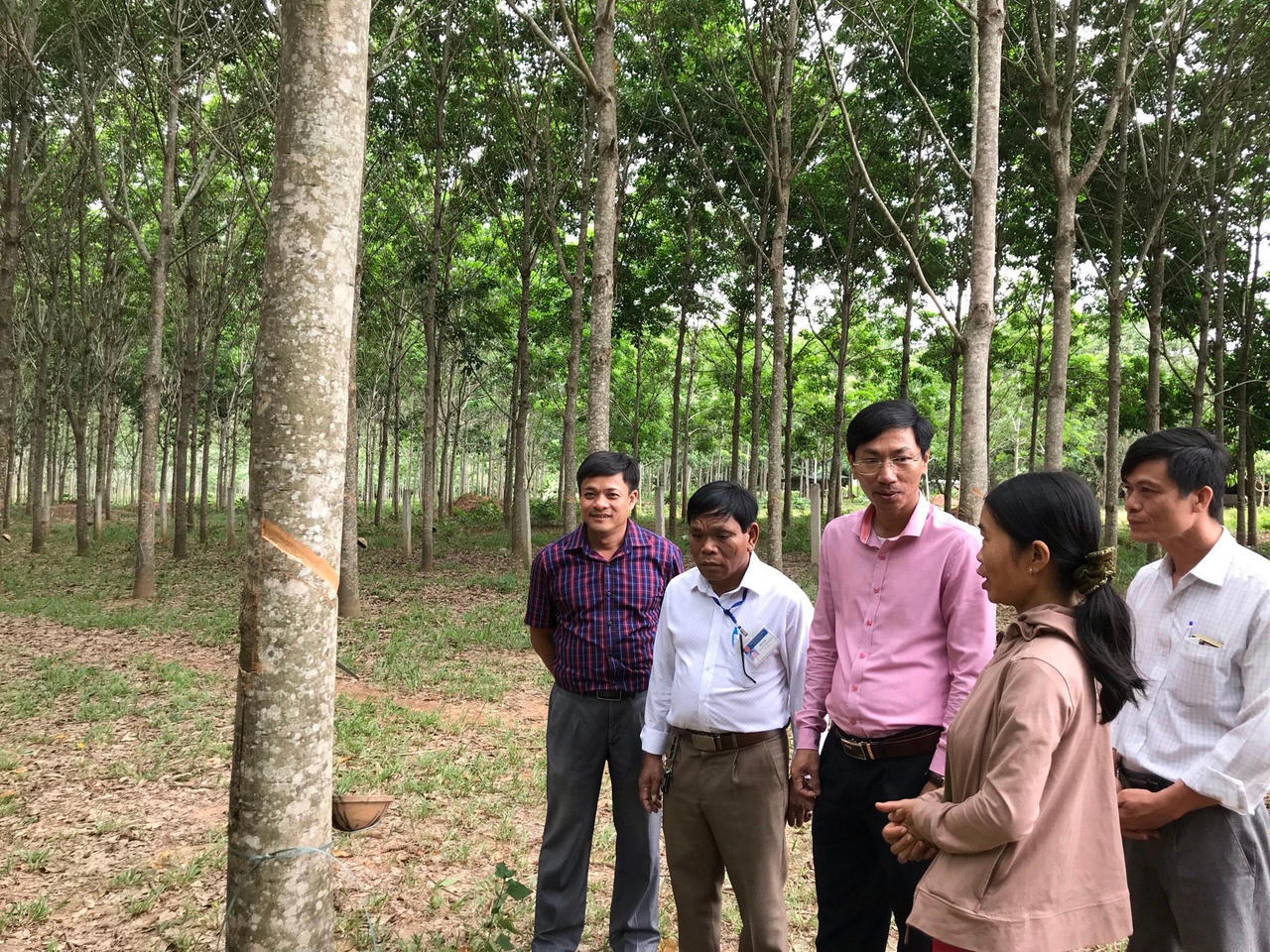 Huyện Hướng Hóa (Quảng Trị): Phát triển nông - lâm nghiệp theo hướng sản xuất hàng hóa