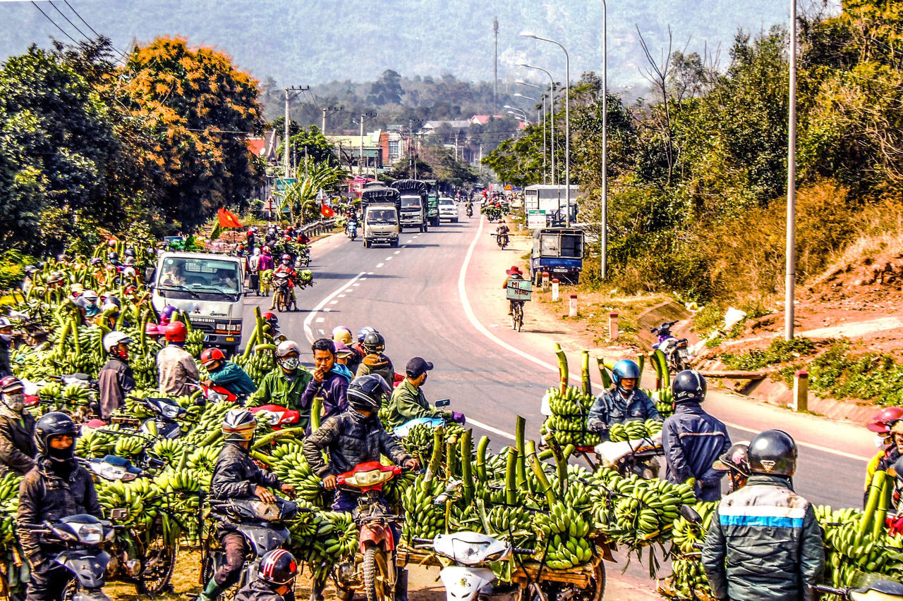 Huyện Hướng Hóa (Quảng Trị): Phát triển nông - lâm nghiệp theo hướng sản xuất hàng hóa