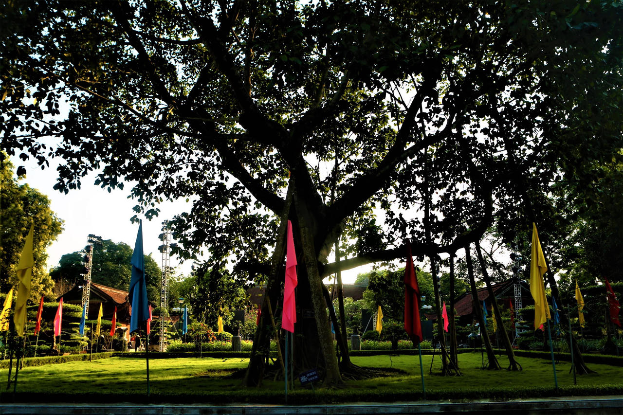 Tháng tri ân, bồi hồi ngắm vọng Khu di tích trên quê Bác...