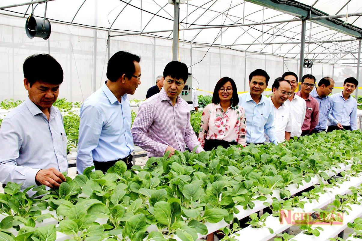 Nghi Xuân hướng đến huyện nông thôn mới kiểu mẫu điển hình về văn hóa gắn với phát du lịch