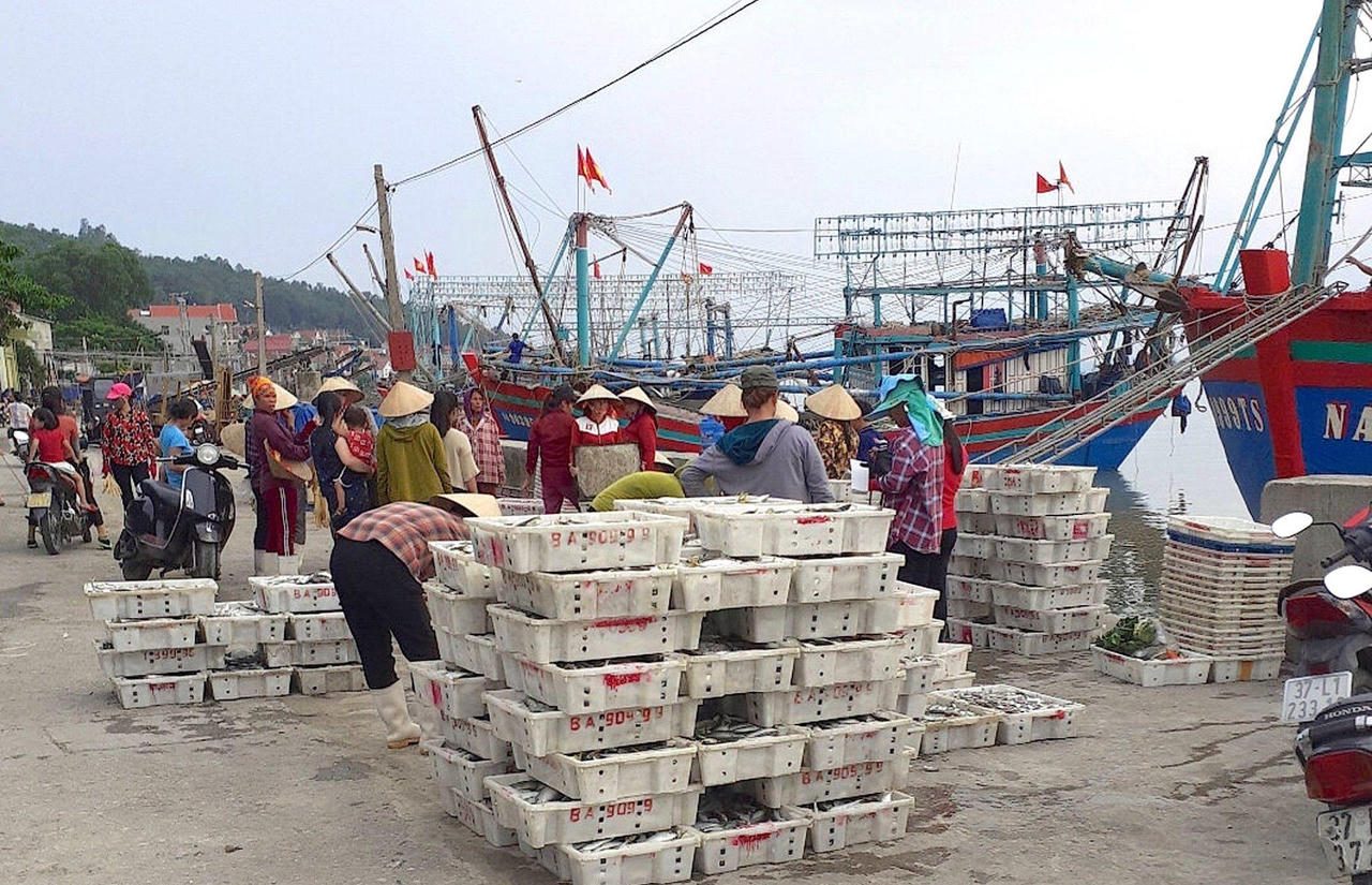 Thị xã Hoàng Mai: Một trong ba cực tăng trưởng phía bắc của Nghệ An