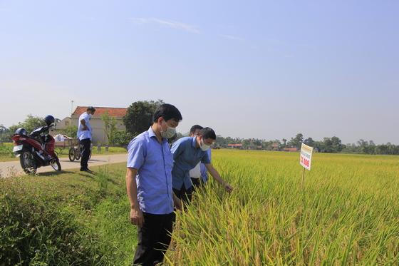 Thị xã Hoàng Mai: Một trong ba cực tăng trưởng phía bắc của Nghệ An