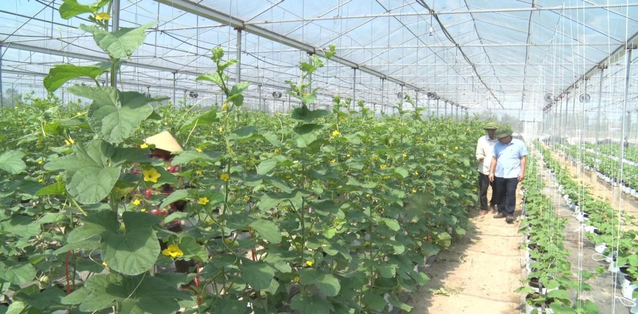 Xây dựng nông thôn mới tại huyện Nghi Lộc chỉ có điểm đầu, không có điểm kết thúc