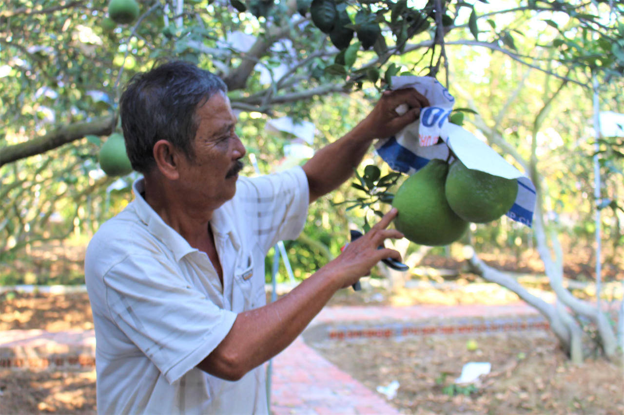 “Làng thông minh” - biểu tượng xanh của Bình Dương