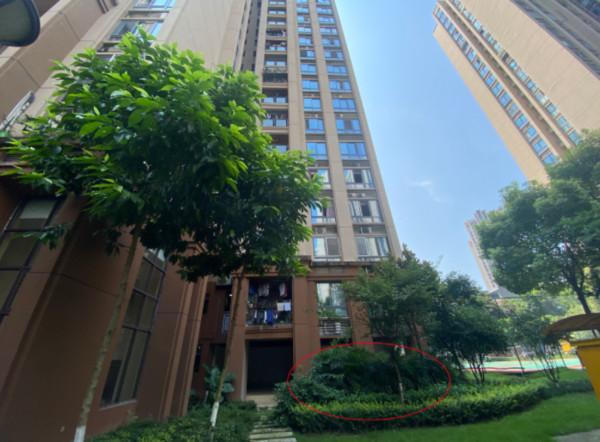 Sắp xét xử gã đàn ông ném hai con ruột từ tầng 15 xuống đất để thoải mái theo nhân tình