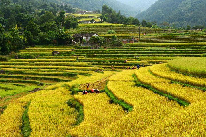 Tuyệt sắc Bình Liêu