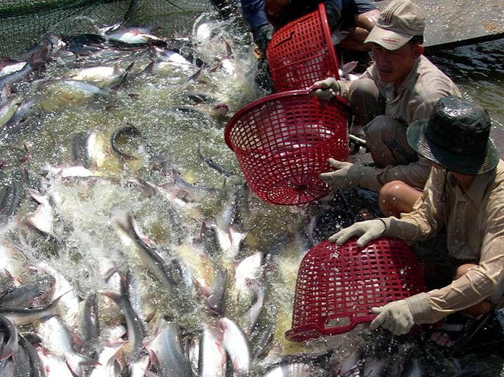 Cần quy hoạch, phát triển Đồng bằng sông Cửu Long theo hướng thuận thiên