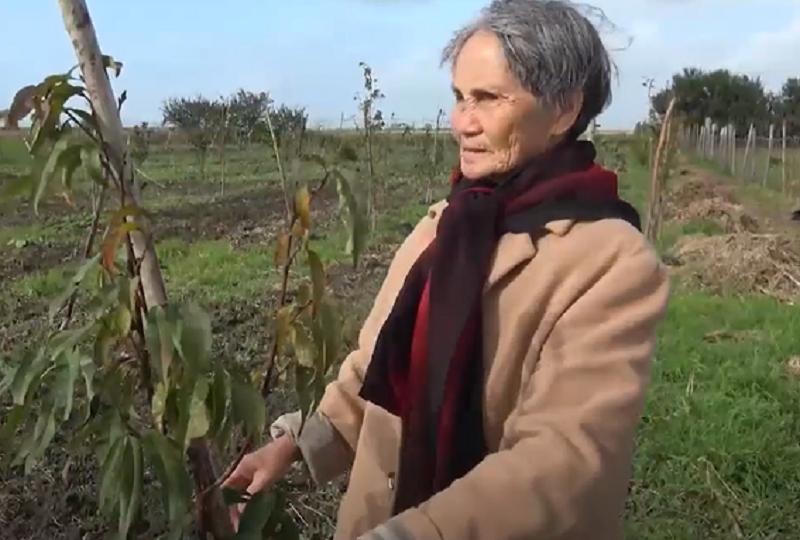 Chuyện về những người phụ nữ Việt Nam tại Morocco