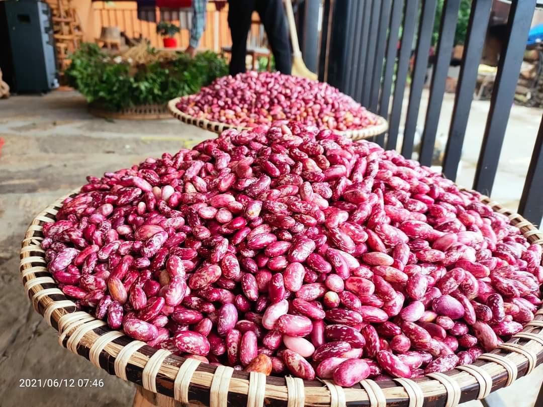 Y Tý “chuyển mình” trong mây trắng