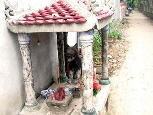 Những giai thoại ly kỳ xung quanh việc thờ “Thiên cẩu” tại ngôi miếu thiêng xứ Huế