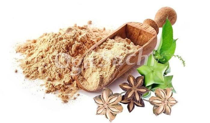 Hạt Sachi - Siêu thực phẩm mới được mệnh danh là “vua của các loại hạt”