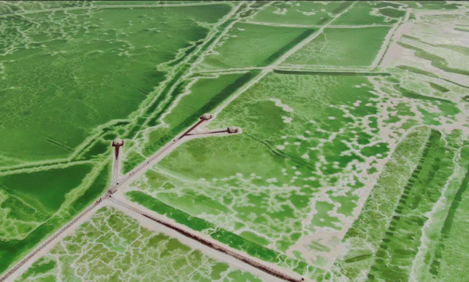 Ngàn năm thăng trầm nghề muối ở Trung Quốc