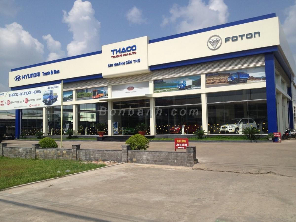 Hai đại gia hiện thực hóa giấc mơ ô tô Việt