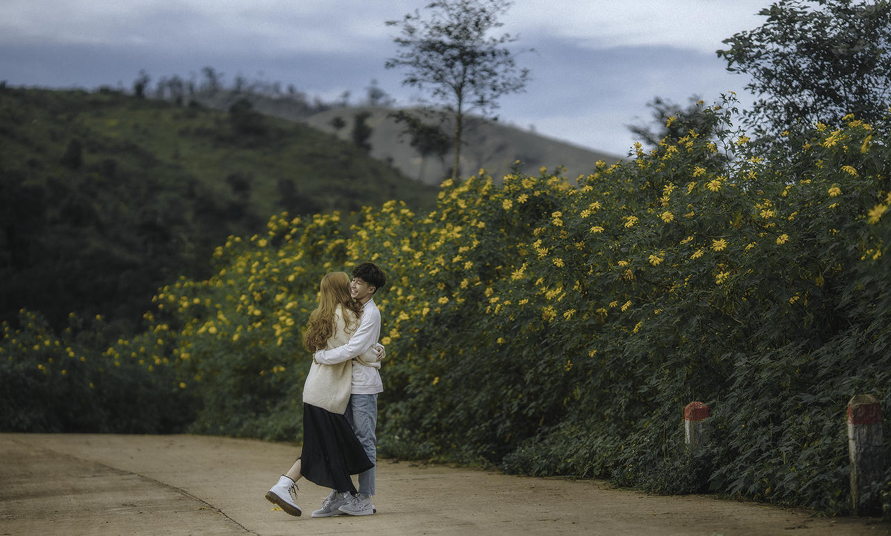 Có một Tây Nguyên rực rỡ sắc vàng