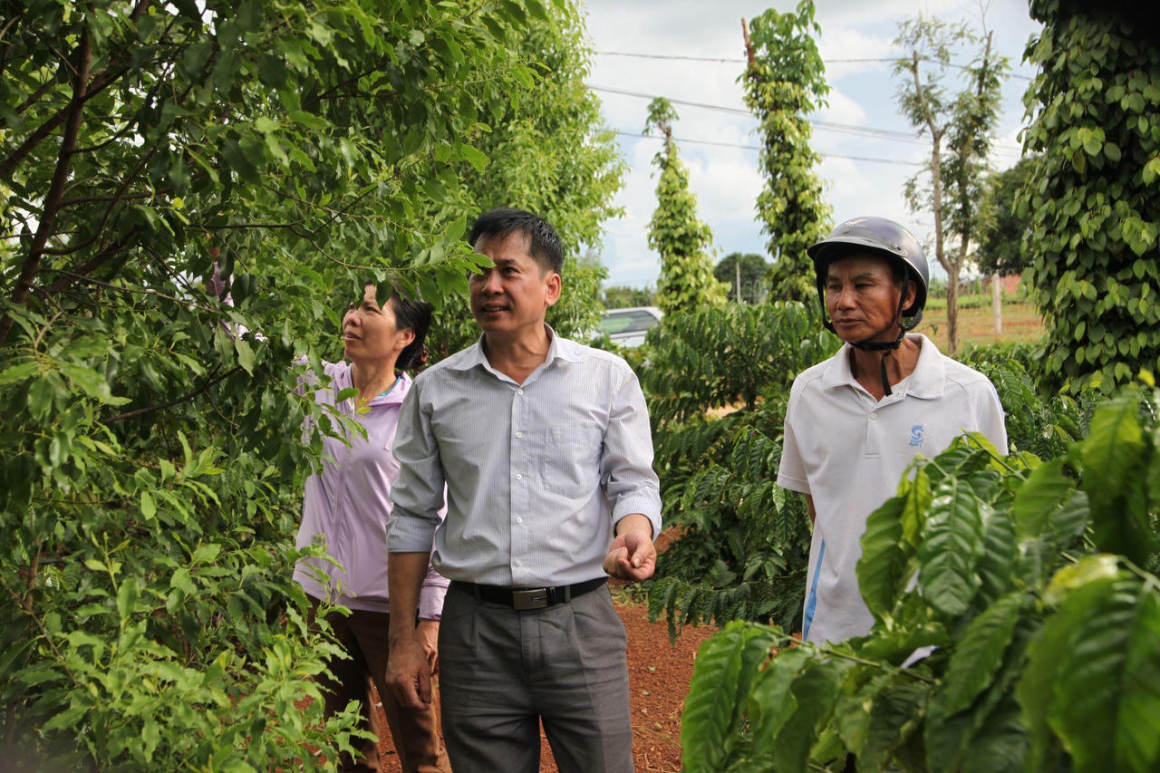 Đưa thương hiệu Đàn hương Tây Nguyên vươn xa