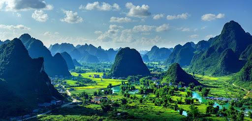 Độc đáo tục phạt vạ 3 con trâu đực vì tội ngoại tình