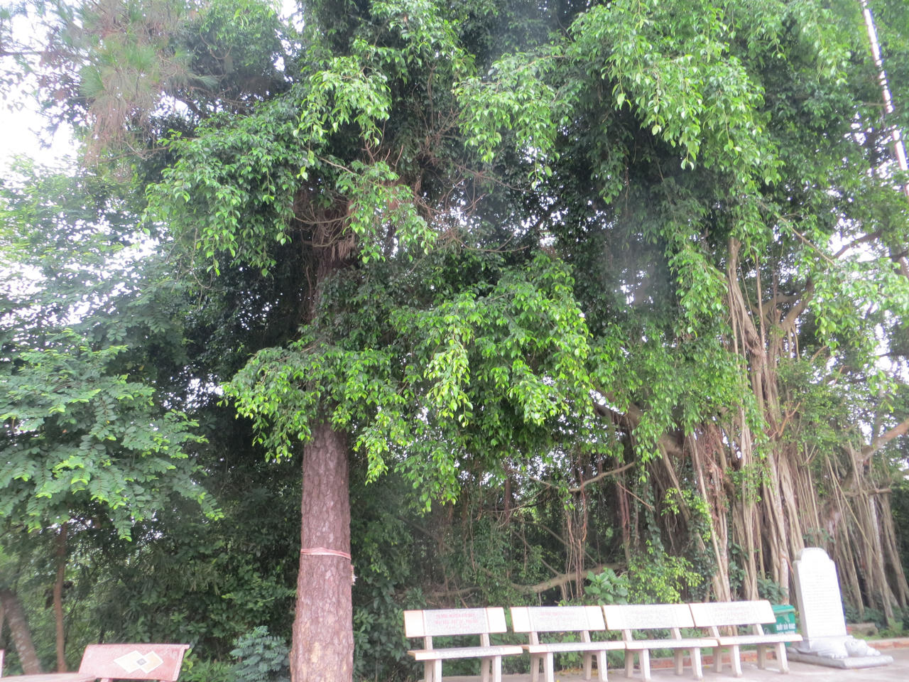 Ngôi miếu được dựng từ thời Hùng Vương trên đỉnh Cấm Sơn