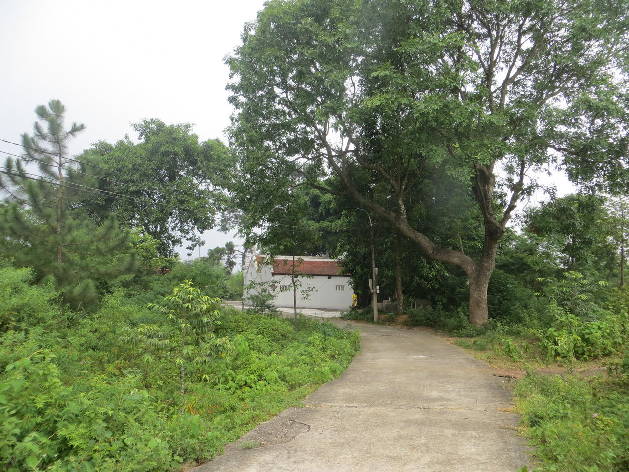 Ngôi miếu được dựng từ thời Hùng Vương trên đỉnh Cấm Sơn