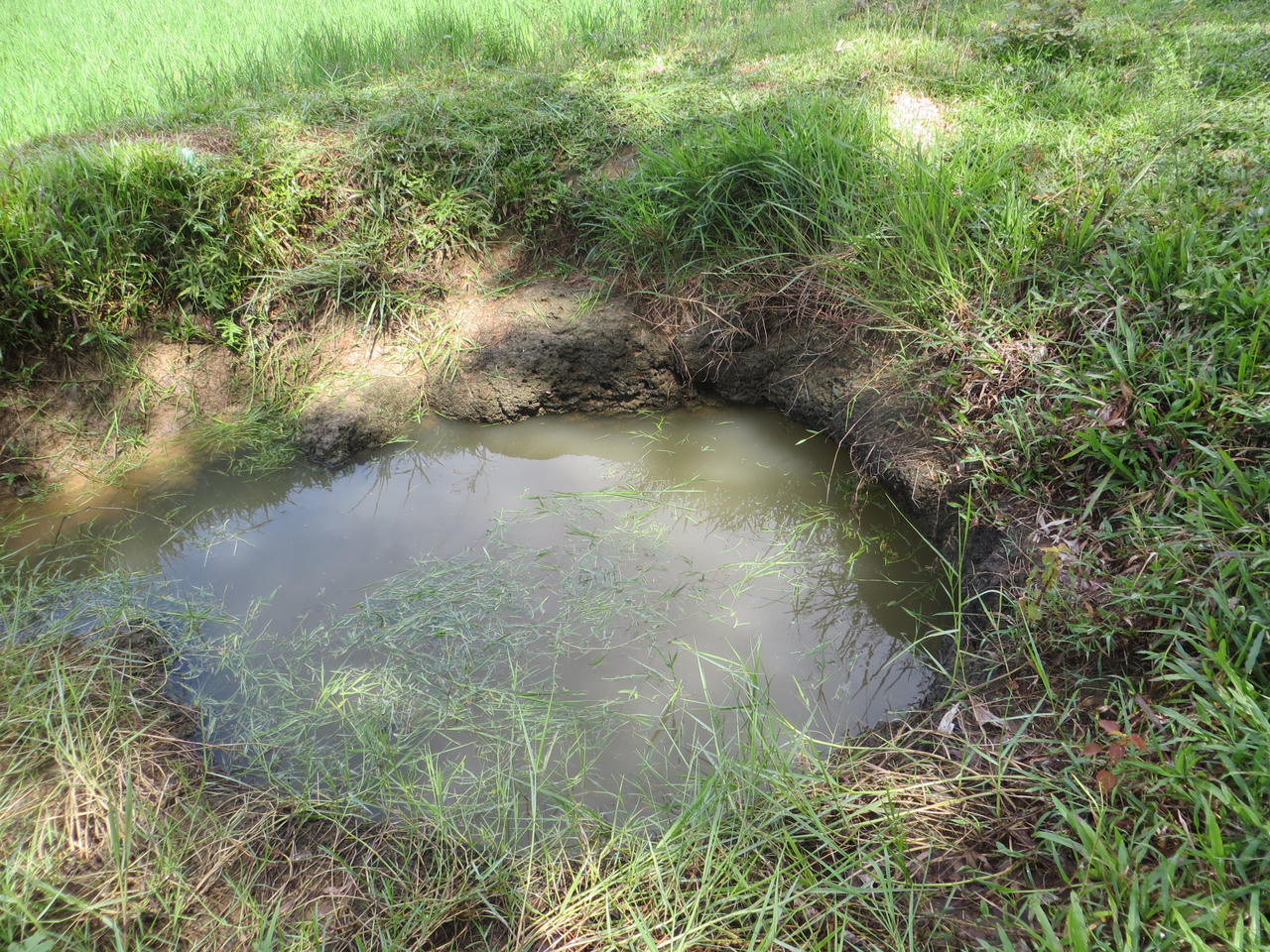 Dấu xưa còn lại ở kinh đô Vạn Lại – Yên Trường