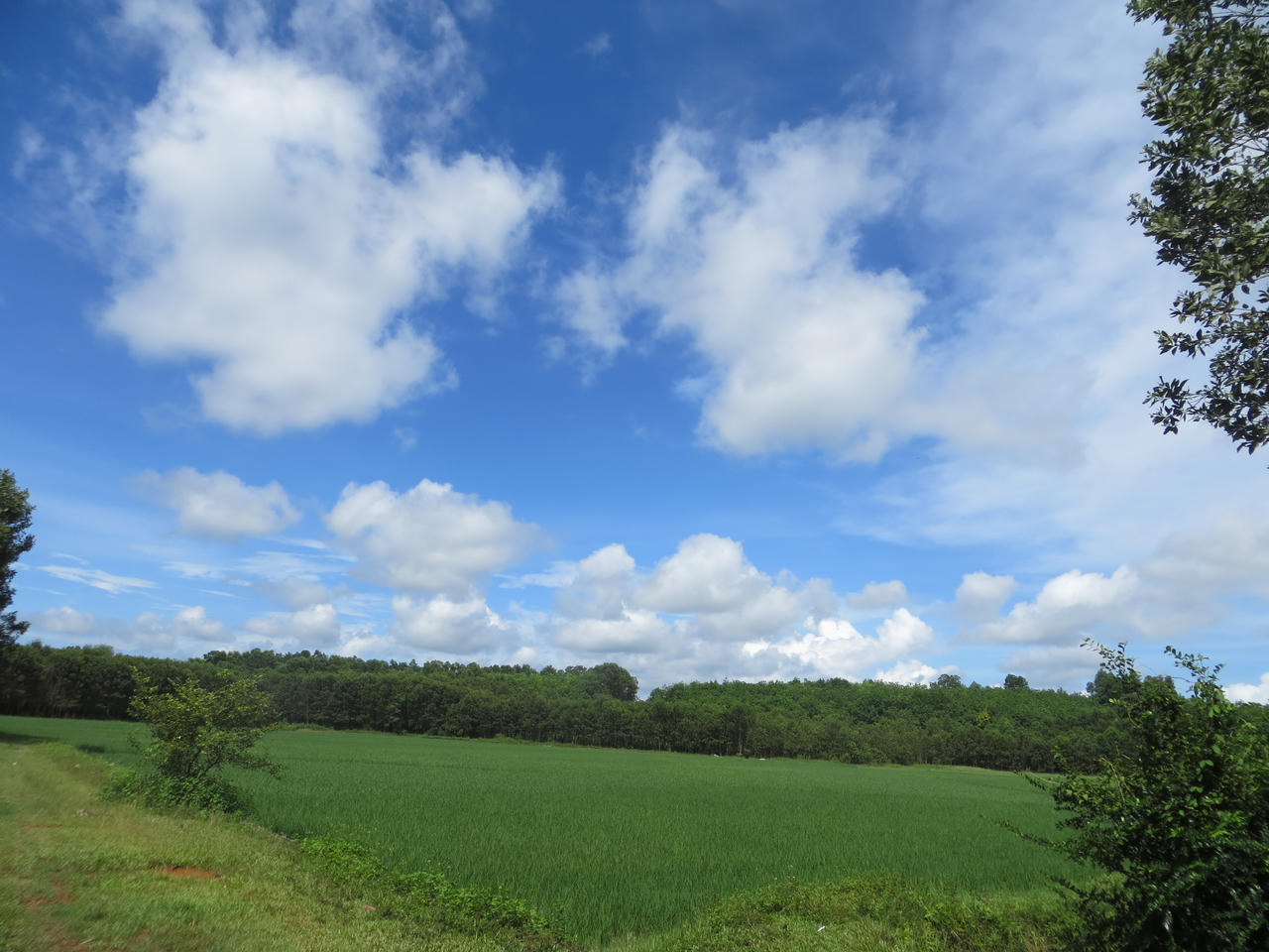 Dấu xưa còn lại ở kinh đô Vạn Lại – Yên Trường