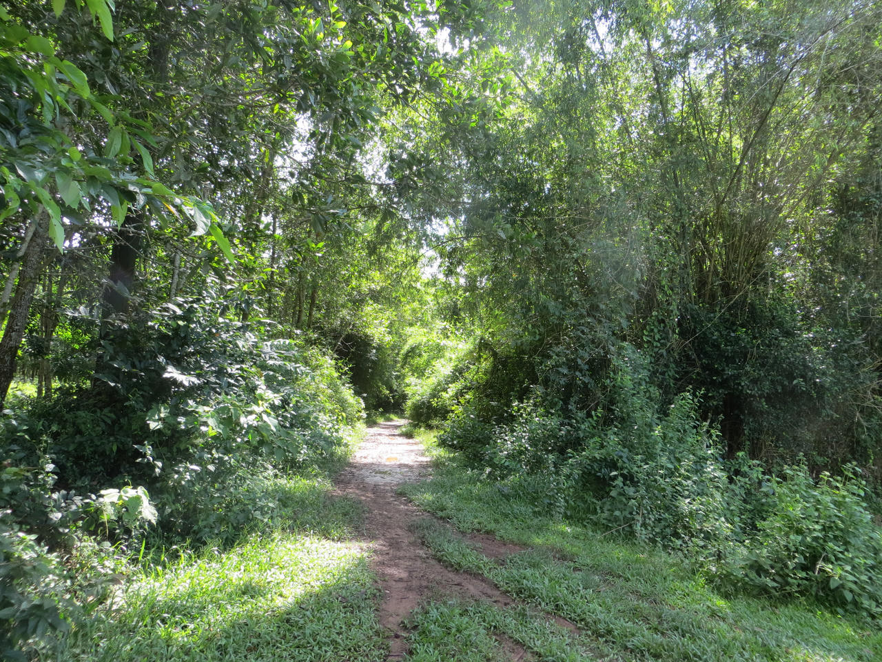 Dấu xưa còn lại ở kinh đô Vạn Lại – Yên Trường