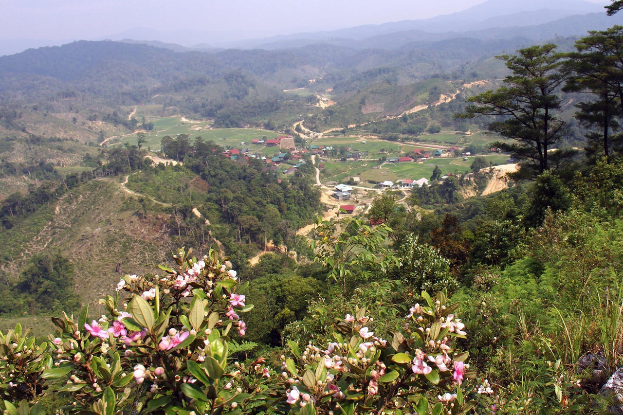 Làng cổ Vi Rơ Ngheo - 'Thiên đường hoa' bồng bềnh giữa biển sương