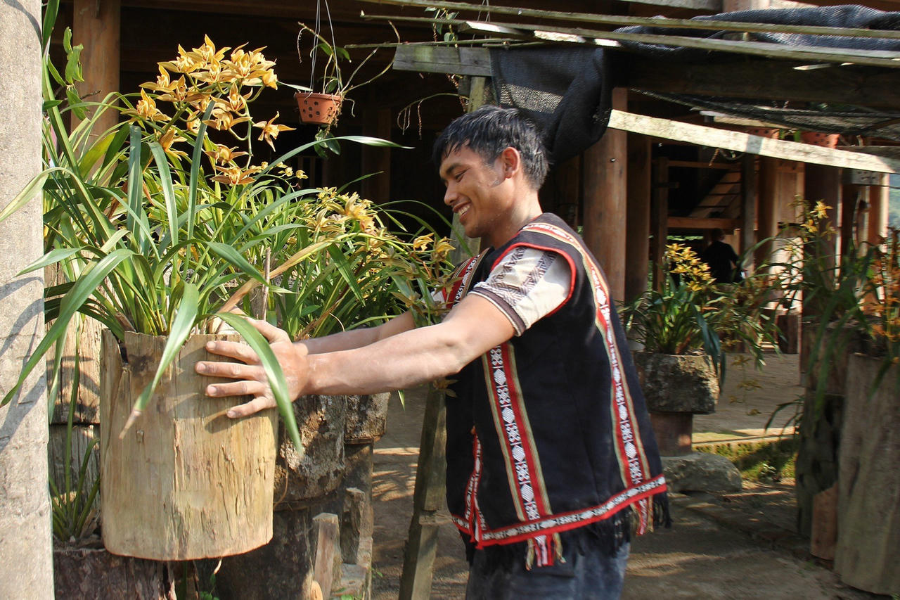 Làng cổ Vi Rơ Ngheo - 'Thiên đường hoa' bồng bềnh giữa biển sương