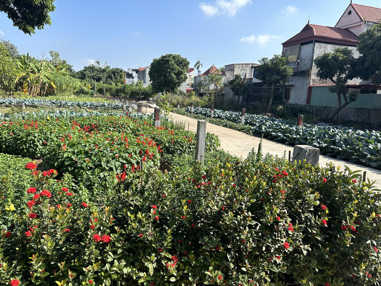 Đền cổ linh thiêng thờ công chúa thời Trần 12 lần được sắc phong