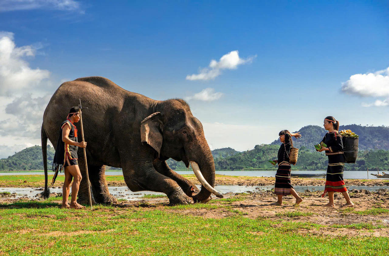 Trao giải ảnh 'Hành trình di sản 2024' và gây quỹ ủng hộ đồng bào vùng bão lũ
