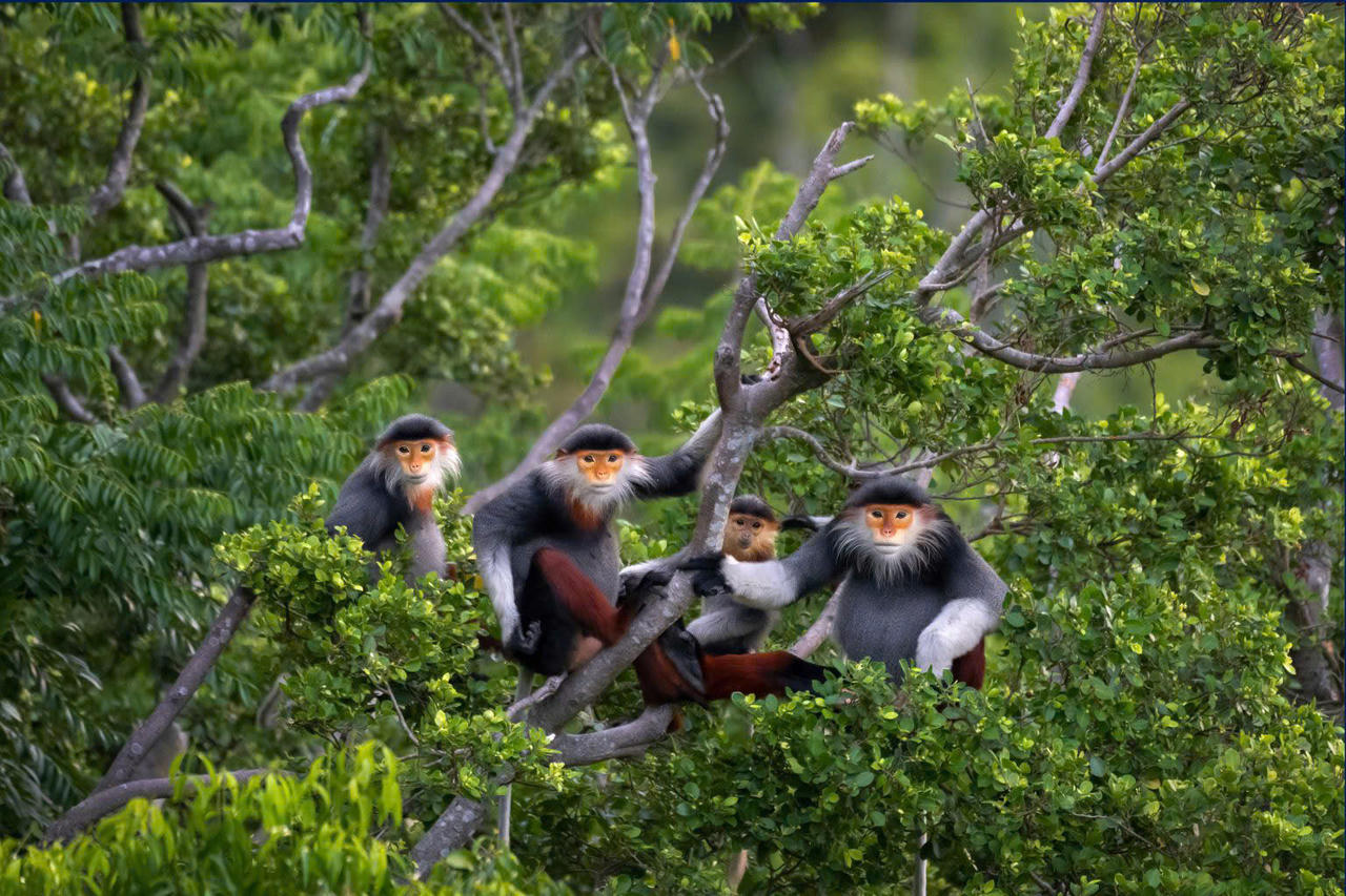 Trao giải ảnh 'Hành trình di sản 2024' và gây quỹ ủng hộ đồng bào vùng bão lũ