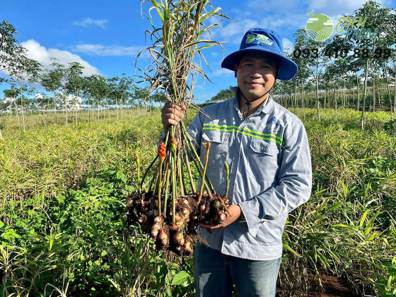 CEO Eden Farm Nguyễn Văn Đức và khát vọng kiến tạo chuỗi giá trị nông sản Việt bền vững