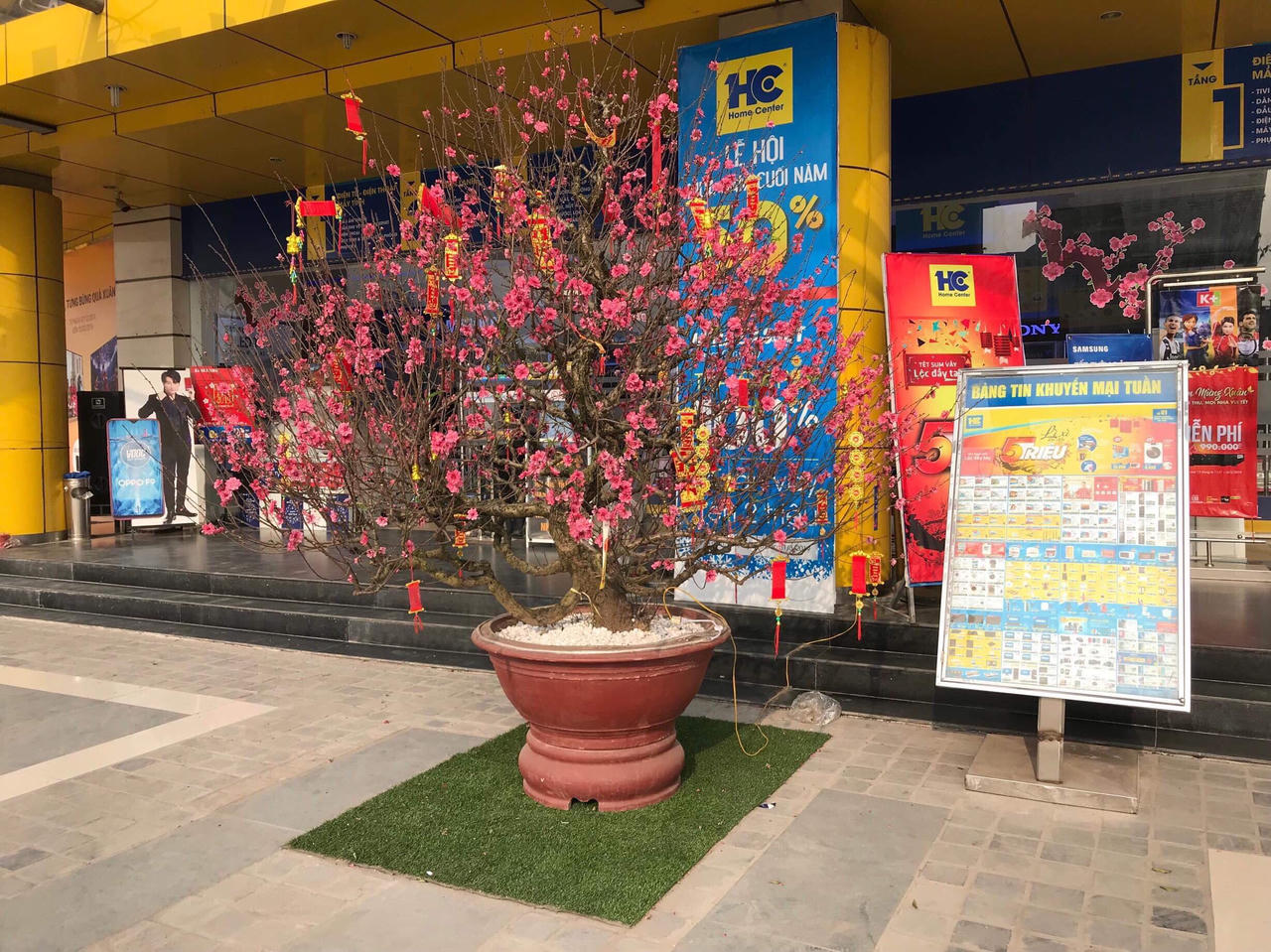 Bồi hồi cảnh sắc Hà Nội những ngày giáp Tết